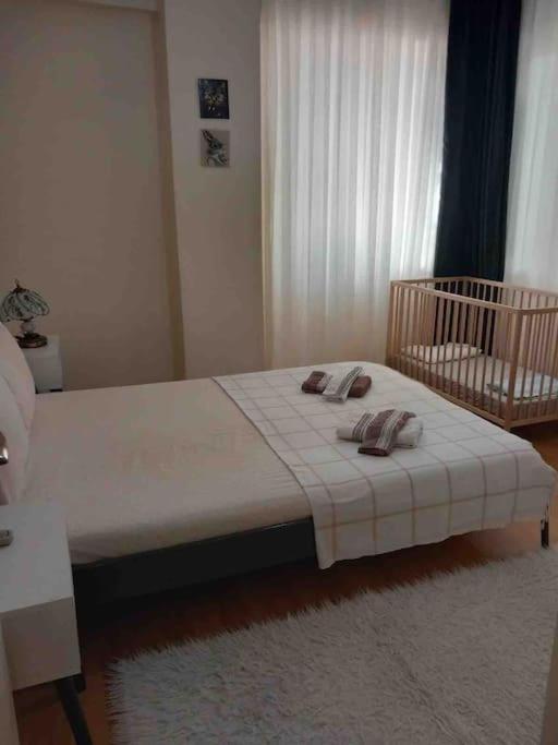 Apartment Engin